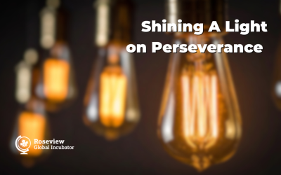 Shining A Light on Perseverance